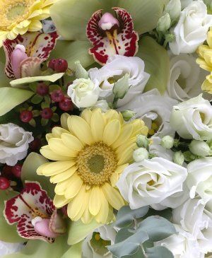 Imaginea produsului Mix Vesel