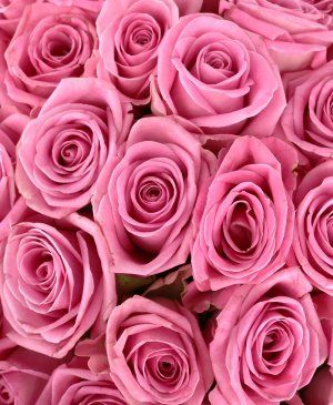 Imaginea produsului Buchet 49 Trandafiri Roz