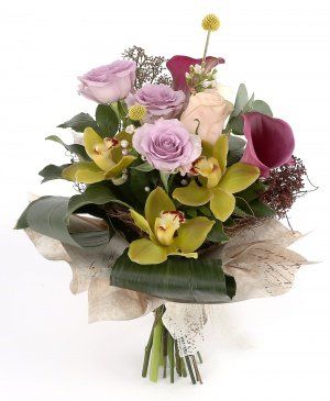 Imaginea produsului Sclipiri Luminoase Imaginea produsului Sclipiri Luminoase