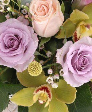 Imaginea produsului Sclipiri Luminoase