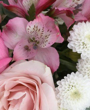 Imaginea produsului Fiorii Dragostei