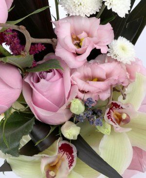 Imaginea produsului Exotic Original