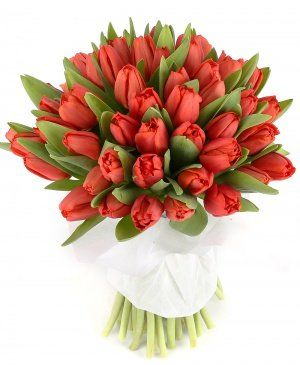 Imaginea produsului 49 Lalele Roșii Imaginea produsului 49 Lalele Roșii