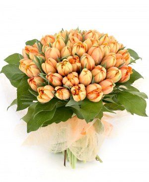 Imaginea produsului 49 Lalele Portocalii Imaginea produsului 49 Lalele Portocalii