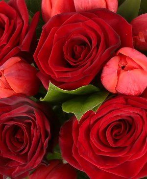 Imaginea produsului Dublu Sens