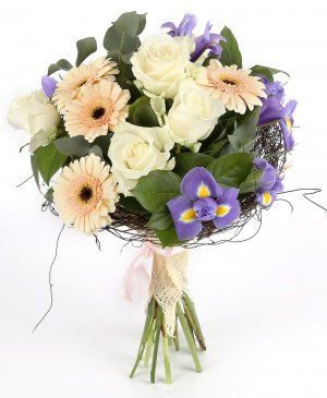 Imaginea produsului Parfum și Culoare Imaginea produsului Parfum și Culoare