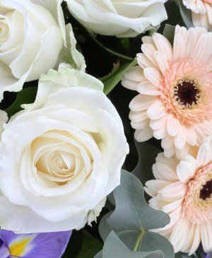 Imaginea produsului Parfum și Culoare