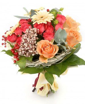 Imaginea produsului Plăcere Cromatică Imaginea produsului Plăcere Cromatică