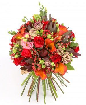 Imaginea produsului Intensitate Senzuală Imaginea produsului Intensitate Senzuală