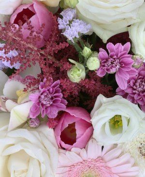 Imaginea produsului Gest Grandios