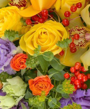 Imaginea produsului Coș Visător