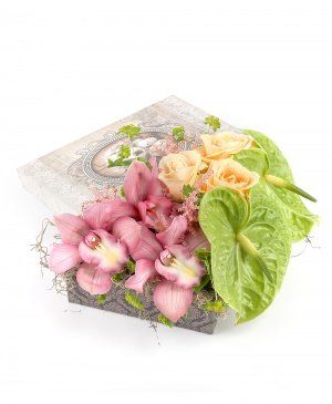 Imaginea produsului Minunăție La Cutie Imaginea produsului Minunăție La Cutie