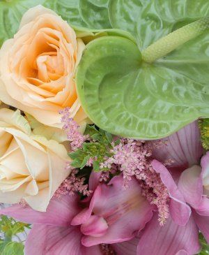 Imaginea produsului Minunăție La Cutie