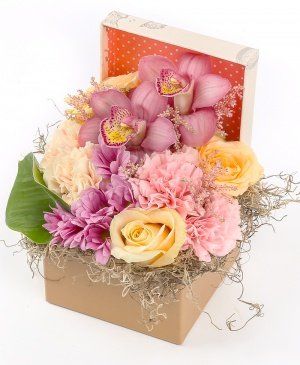 Imaginea produsului Cutie Cu Minuni Imaginea produsului Cutie Cu Minuni