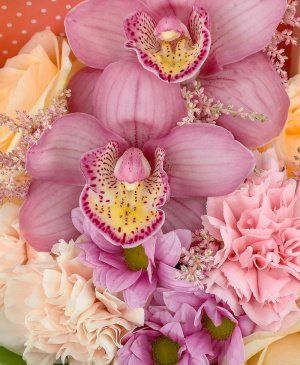 Imaginea produsului Cutie Cu Minuni