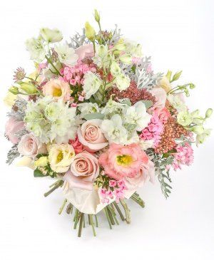 Imaginea produsului Distincție Imaculată Imaginea produsului Distincție Imaculată