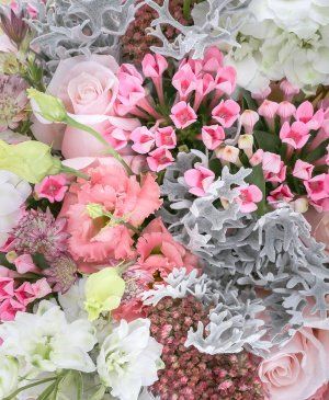 Imaginea produsului Distincție Imaculată