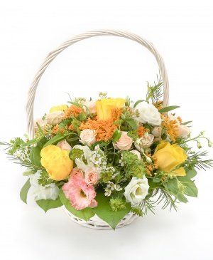 Imaginea produsului Prestanță Impunătoare Imaginea produsului Prestanță Impunătoare