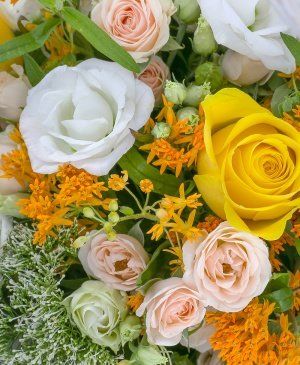 Imaginea produsului Prestanță Impunătoare