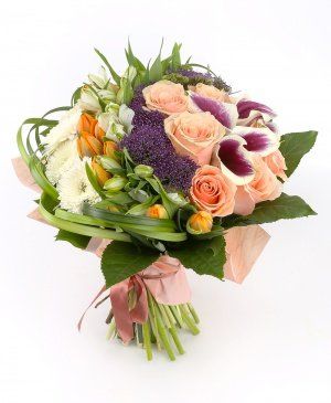 Imaginea produsului Asociere Inedită Imaginea produsului Asociere Inedită