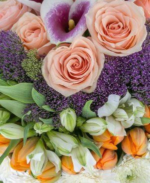 Imaginea produsului Asociere Inedită