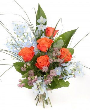 Imaginea produsului Nunațe Distinse Imaginea produsului Nunațe Distinse