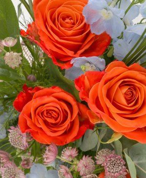 Imaginea produsului Nunațe Distinse