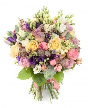 Imaginea produsului Grădină Secretă Imaginea produsului Grădină Secretă