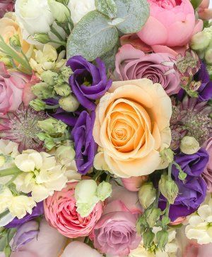 Imaginea produsului Grădină Secretă