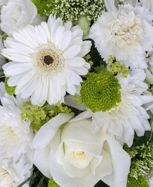 Imaginea produsului Colac Alb Multifloral