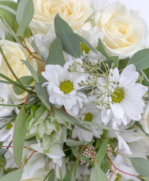 Imaginea produsului Naturalețe Grațioasă