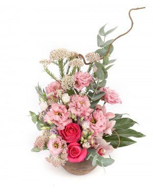 Imaginea produsului Epicentrul Simțurilor