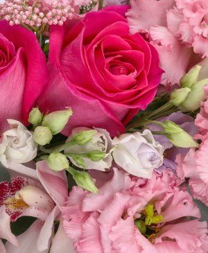 Imaginea produsului Epicentrul Simțurilor