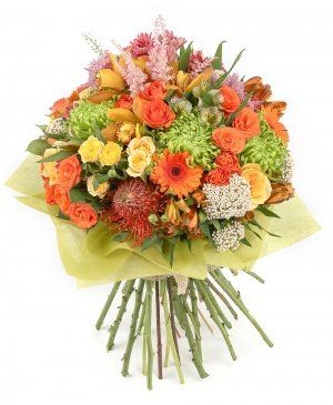 Imaginea produsului Compliment Vibrant