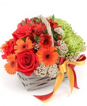 Imaginea produsului Gest Amabil