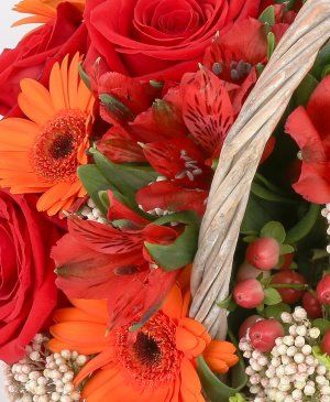 Imaginea produsului Gest Amabil