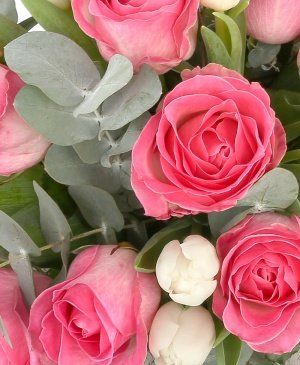 Imaginea produsului Sărutul Trandafirilor