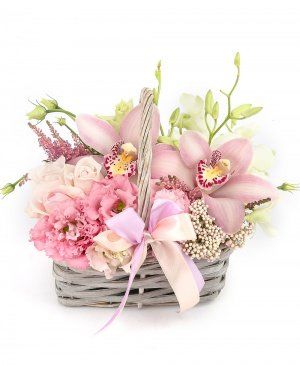 Imaginea produsului Izvorul Pasiunii