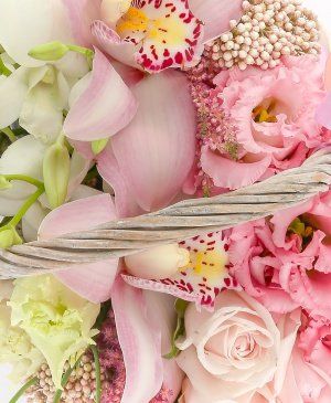 Imaginea produsului Izvorul Pasiunii