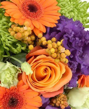 Imaginea produsului Sclipiri Magice