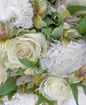 Imaginea produsului Puritate Grandioasă