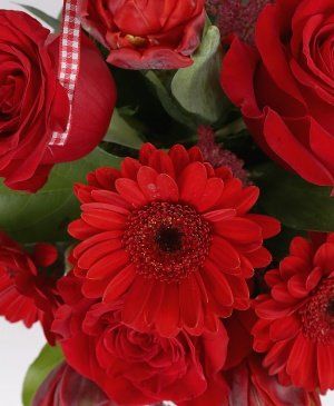 Imaginea produsului Iubire Elocventă