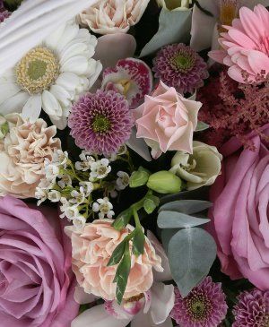 Imaginea produsului Impresii Plăcute