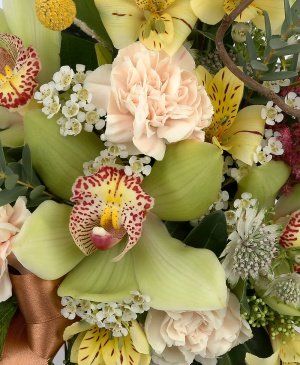 Imaginea produsului Devotament Cuceritor