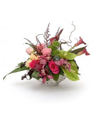 Imaginea produsului Adorație Inegalabilă