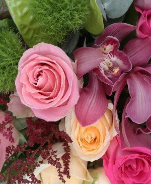 Imaginea produsului Adorație Inegalabilă