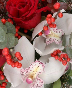 Imaginea produsului Crăciun Magic