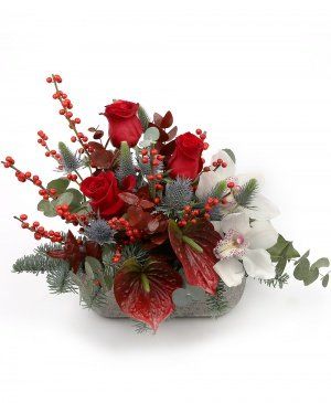 Imaginea produsului Cadoul De Sub Brad Imaginea produsului Cadoul De Sub Brad