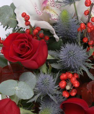 Imaginea produsului Cadoul De Sub Brad