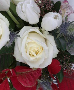 Imaginea produsului Bucuria Sărbătorilor